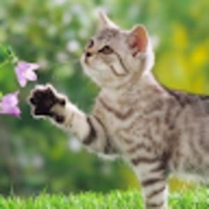 Meet your Posher, Vivia